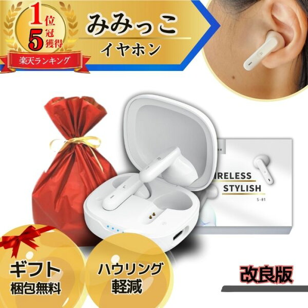 集音器 しゅうおんき ワイヤレス イヤホン型 ギ…