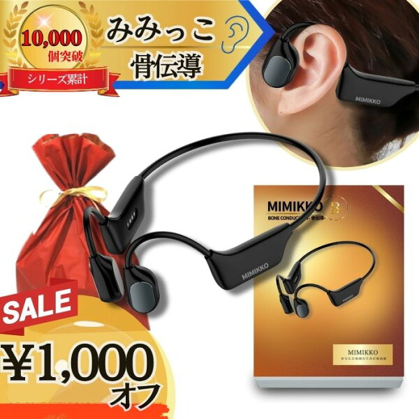 集音器 しゅうおんき 高齢者 イヤホン型 ギフト…