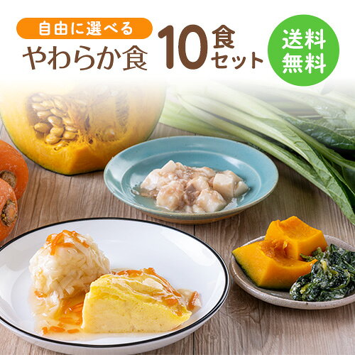 やわらか食 自由に選べる10食セット