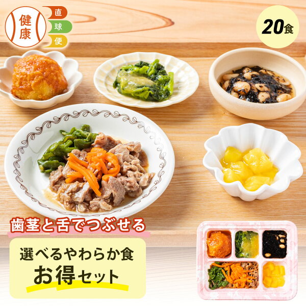 選べる やわらか食20食セット 20食分 20食